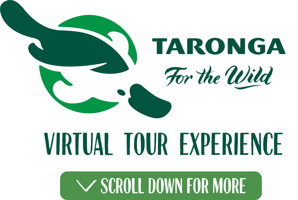 Virtual Tour-Page_Graphic_75%25